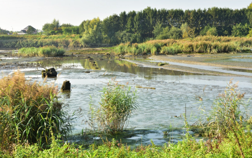 Elke euro voor natuurherstel levert tot 51 euro op
